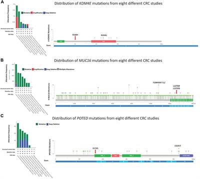 Whole genome sequencing of Malaysian colorectal cancer patients reveals specific druggable somatic mutations